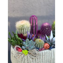 ÖZEL CANLI TERARYUM